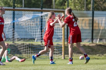 Bild 403 - wBJ Hamburger SV - Hertha BSC : Ergebnis: 5:2